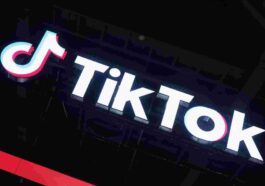 TikTok Profile Viewer