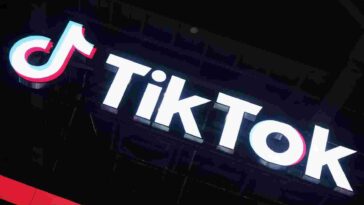 TikTok Profile Viewer