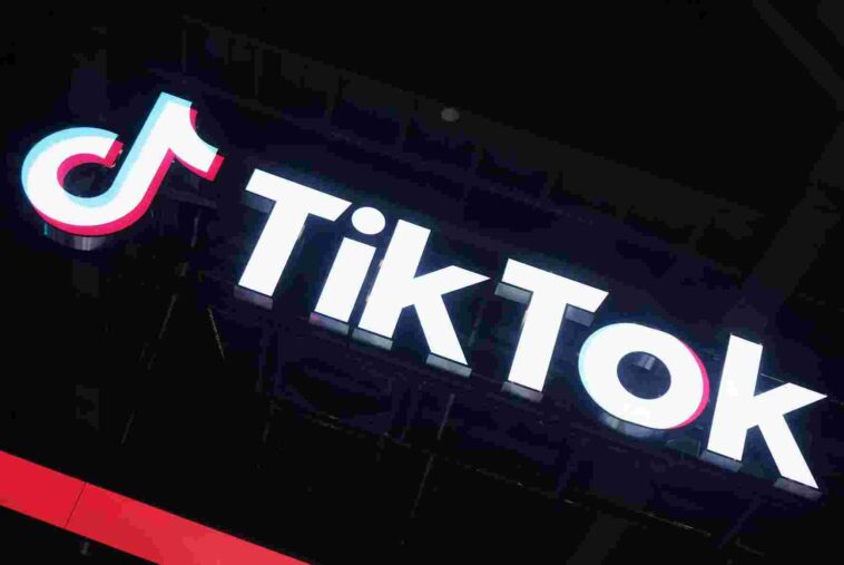 TikTok Profile Viewer